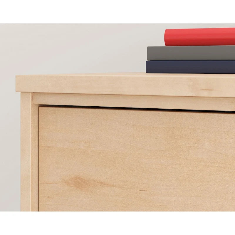 Classificatore laterale a 2 cassetti | Soluzione tradizionale per l'ufficio | Compatibile con documenti formato Letter e Legal